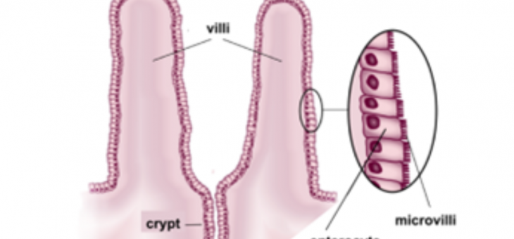 Fermentationexperts Trial Results: Fermented Proteins
