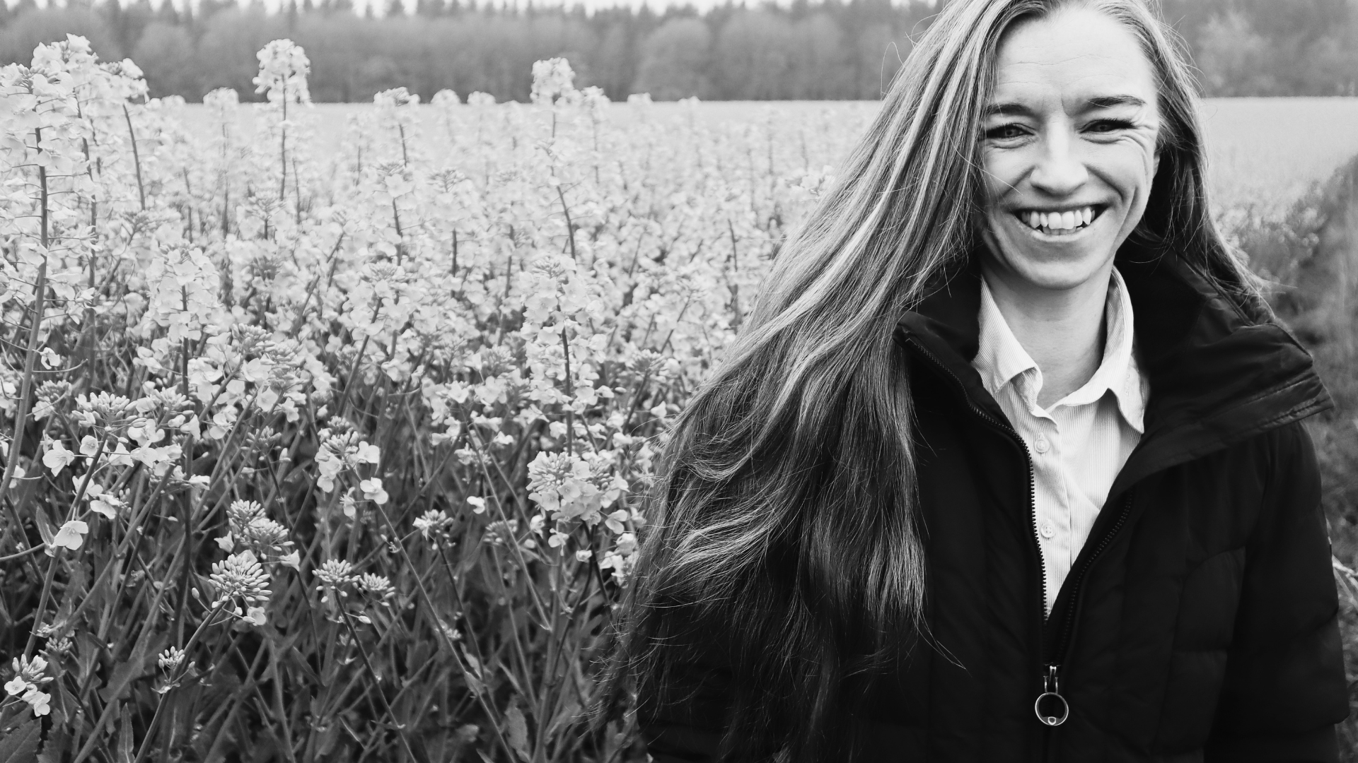New GUDP project aims to make European rapeseed an alternative to imported soy protein in pig feed 